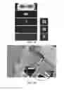 Fig. 19 - Micro blood vessels and tissue ducts