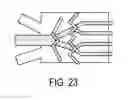 Fig. 22 - Micro blood vessels and tissue ducts