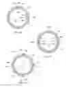 Fig. 13 - Interruptible sprinkler head