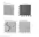 Fig. 02 - PROCESS FOR PRODUCING THICK NANOSTRUCTURED FILMS OBTAINED FROM A BLOCK COPOLYMER COMPOSITION