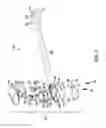 Fig. 08 - Bias member for reducing ratcheting arc