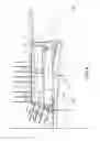 Fig. 05 - NAILING MACHINE