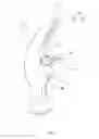 Fig. 09 - Claw hammer