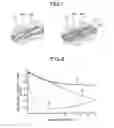 Fig. 06 - Interference check device