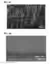 Fig. 06 - Adhesive attachment discs