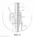 Fig. 07 - METHOD OF APPLYING PLY TO A TIRE BUILDING DRUM