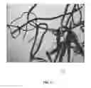 Fig. 04 - Delamination resistant, weldable and formable light weight composites