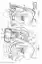 Fig. 02 - Child restraint