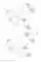 Fig. 08 - Infant car seat assembly
