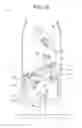 Fig. 27 - Vehicle seat
