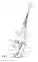 Fig. 09 - Emergency apparatus mounting bracket