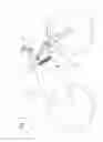 Fig. 02 - Suspension system for the front wheel of single-track two-wheeled vehicles namely motorcycles and bicycles