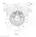 Fig. 02 - Propeller and relative method for fine adjusting the fluid dynamic pitch of the propeller blades