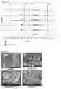 Fig. 02 - METHOD FOR PREPARING TRICHLOROSILANE