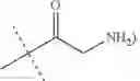 Fig. 41 - METHIONINE ANALOGS AND METHODS OF USING SAME