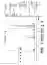 Fig. 03 - MELANOCORTIN RECEPTOR ANTAGONIST COMPOUNDS, PROCESS FOR PREPARING THEM AND USE THEREOF IN HUMAN MEDICINE AND COSMETICS