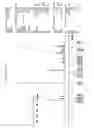 Fig. 04 - MELANOCORTIN RECEPTOR ANTAGONIST COMPOUNDS, PROCESS FOR PREPARING THEM AND USE THEREOF IN HUMAN MEDICINE AND COSMETICS