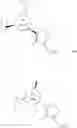 Fig. 35 - Carboxamide derivatives