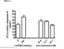 Fig. 02 - FSH receptor antagonists