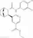 Fig. 141 - Compounds and compositions for inducing chondrogenesis