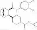 Fig. 166 - Compounds and compositions for inducing chondrogenesis