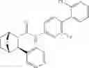 Fig. 169 - Compounds and compositions for inducing chondrogenesis