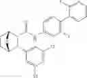 Fig. 180 - Compounds and compositions for inducing chondrogenesis