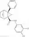 Fig. 201 - Compounds and compositions for inducing chondrogenesis