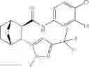 Fig. 227 - Compounds and compositions for inducing chondrogenesis