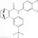 Fig. 229 - Compounds and compositions for inducing chondrogenesis