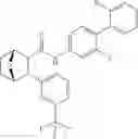 Fig. 236 - Compounds and compositions for inducing chondrogenesis