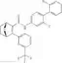Fig. 243 - Compounds and compositions for inducing chondrogenesis