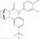 Fig. 248 - Compounds and compositions for inducing chondrogenesis