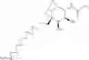 Fig. 09 - Substituted-6,8-dioxabicyclo[3.2.1]octane-2,3-diol compounds as targeting agents of ASGPR