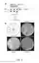 Fig. 03 - PEPTIDE APTAMERS THAT BIND TO THE REP PROTEINS OF SSDNA VIRUSES