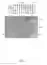 Fig. 04 - PEPTIDE APTAMERS THAT BIND TO THE REP PROTEINS OF SSDNA VIRUSES