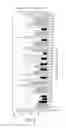 Fig. 06 - PEPTIDE APTAMERS THAT BIND TO THE REP PROTEINS OF SSDNA VIRUSES