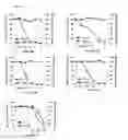 Fig. 09 - Antiviral compounds and methods for treating infections caused by double-stranded DNA viruses