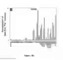 Fig. 09 - Mutant NGAL proteins and uses thereof