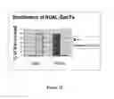 Fig. 30 - Mutant NGAL proteins and uses thereof
