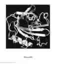 Fig. 35 - Mutant NGAL proteins and uses thereof