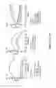 Fig. 40 - Mutant NGAL proteins and uses thereof