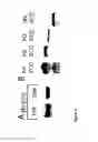 Fig. 06 - NOTCH-BASED FUSION PROTEINS AND USES THEREOF