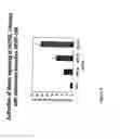 Fig. 07 - NOTCH-BASED FUSION PROTEINS AND USES THEREOF