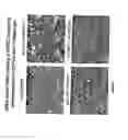 Fig. 09 - NOTCH-BASED FUSION PROTEINS AND USES THEREOF