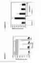 Fig. 32 - NOTCH-BASED FUSION PROTEINS AND USES THEREOF