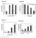 Fig. 40 - NOTCH-BASED FUSION PROTEINS AND USES THEREOF