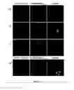 Fig. 40 - Novel MHC molecule constructs, and methods of employing these constructs for diagnosis and therapy, and uses of MHC molecules
