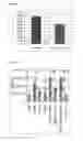 Fig. 19 - Antibodies to TNFα