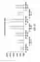Fig. 10 - Solution Formulations of Engineered Anti-IL-23p19 Antibodies